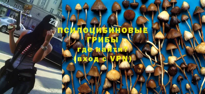 наркошоп  МЕГА ссылки  Галлюциногенные грибы Cubensis  Венёв 